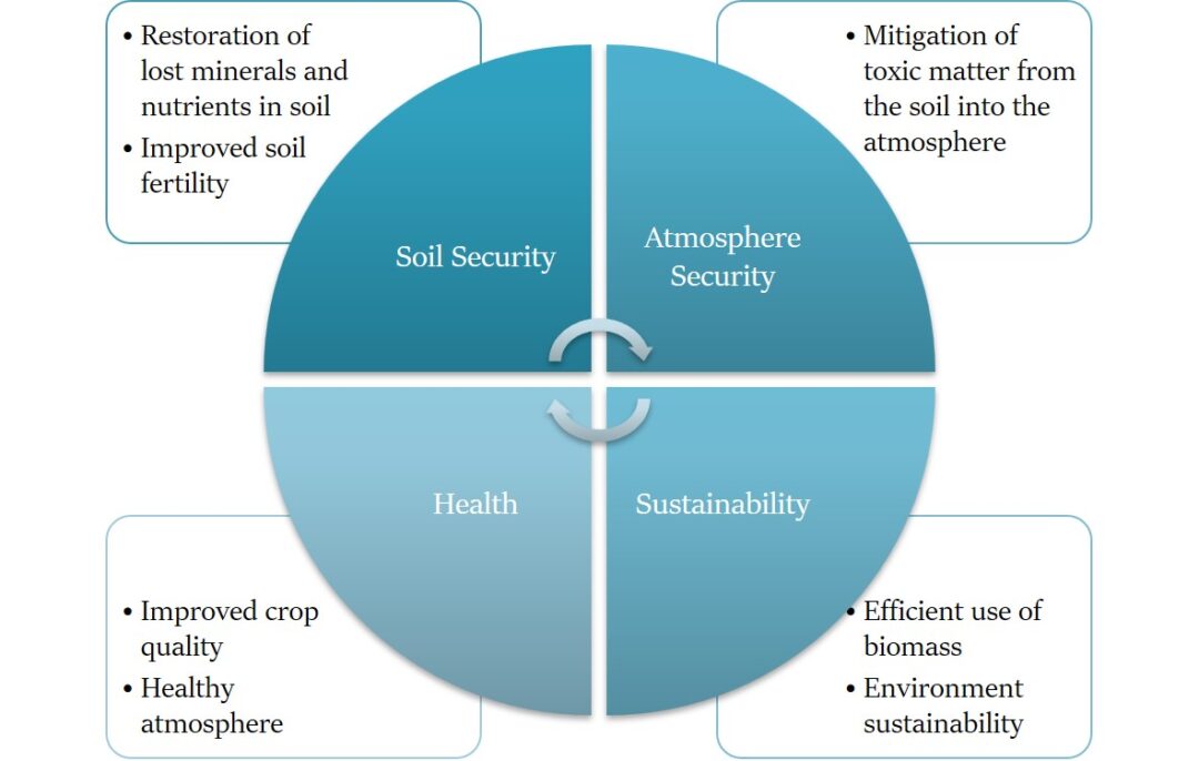 biochar in achieving sustainability in agriculture