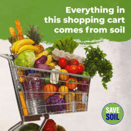 95% of the food we eat comes from the soil.