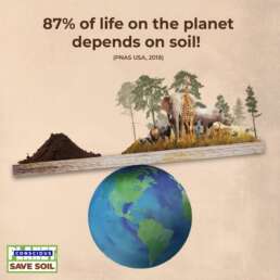 Dependency of living species on soil. 87% of life on the planet depends on soil