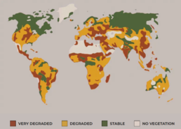A world map showing the quality of soil in different parts of the world. The four different categories shown are, very degraded, degraded, stable, and no vegetation
