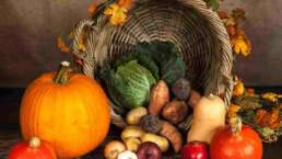 being vegetarian - vegetables placed in a decorative manner