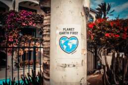 sustainable planet earth logo
