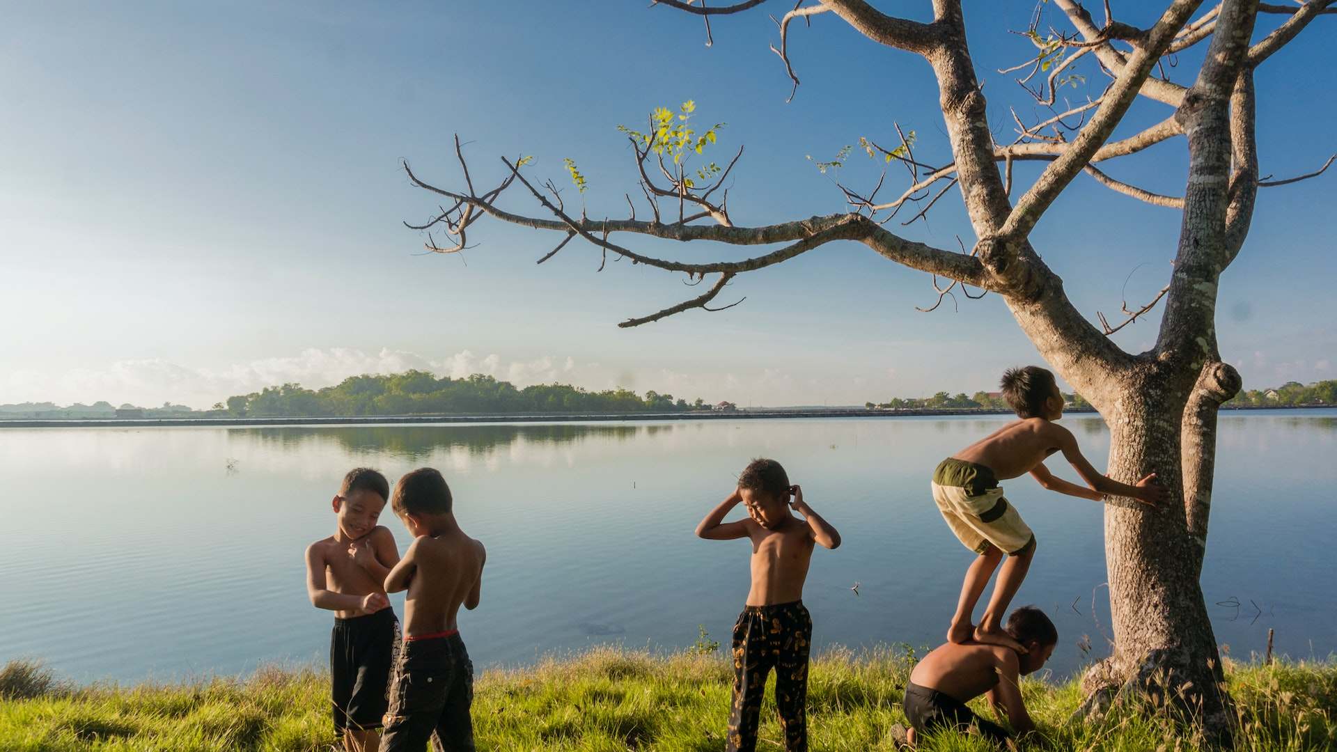 children playing in nature and climbing a tree